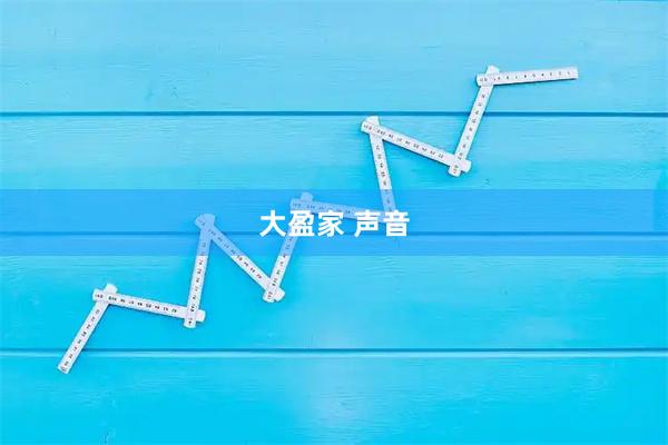 大盈家 声音